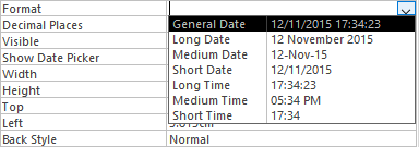 Access database text box format properties