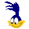 Road runner icon